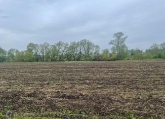 Продаю участок, 10 сот., деревня Шихазда, Центральная улица