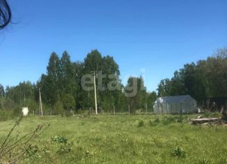 Продам участок, 31 сот., деревня Большая Арда