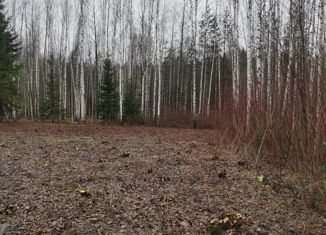 Продаю участок, 15.55 сот., деревня Новотроицк, Кокшайская улица, 118