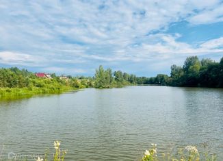 Продается участок, 20 сот., ДНП Спасс-Торбеево