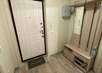 Продам 1-комнатную квартиру, 35.1 м2, Мурино, Новая улица, 15, ЖК Новое Мурино