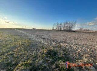 Продается земельный участок, 523 сот., село Тополево, Пионерская улица