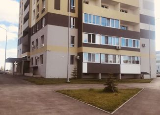 Продаю однокомнатную квартиру, 24.5 м2, село Лопатино, Губернаторская улица, 57