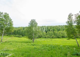 Продам участок, 10 сот., дачное некоммерческое партнерство Лазурный берег, дачное некоммерческое партнерство Лазурный берег, 119