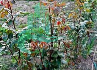 Продается дом, 10 м2, Керчь, Александровский проезд, 290