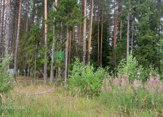 Продаю участок, 16 сот., село Шошка, местечко Педегрезд, 7