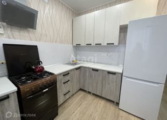 Сдаю в аренду 1-ком. квартиру, 30 м2, Губкинский, 13-й микрорайон, 55