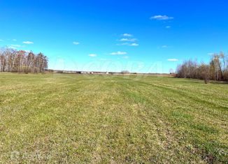 Участок на продажу, 1040 сот., деревня Песьянка, Совхозная улица