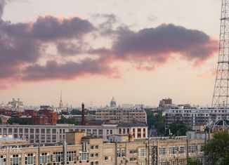 Продается трехкомнатная квартира, 90.5 м2, Санкт-Петербург, Белоостровская улица, 10к2, метро Лесная