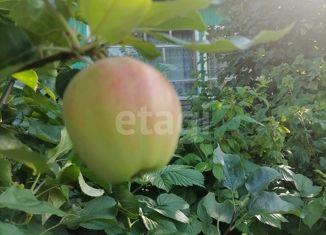 Продажа дома, 24 м2, территория Эжвинский