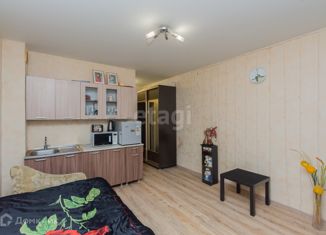 Продажа квартиры студии, 21.7 м2, посёлок Российский, Измаильская улица, 13