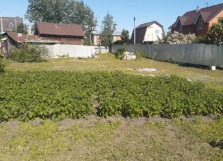 Продажа дома, 31.6 м2, село Елшанка, Почтовая улица, 50