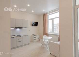 Сдам в аренду квартиру студию, 24 м2, Мурино, Ручьёвский проспект, 17к1