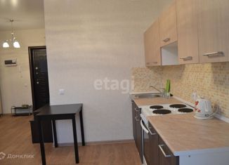 Продается квартира студия, 28.3 м2, деревня Афонино, Академическая улица, 10, ЖК Академический