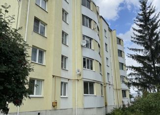 Продажа 3-комнатной квартиры, 68.1 м2, село Патруши, Тепличная улица, 4