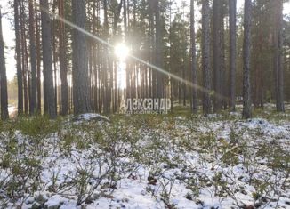 Продам земельный участок, 10 сот., садоводческое некоммерческое товарищество Электронмаш, Центральная улица