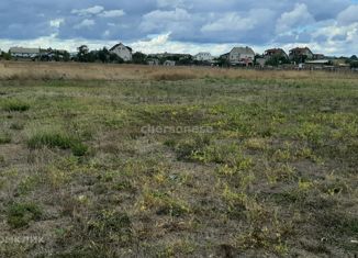 Продаю земельный участок, 15 сот., село Береговое, Виноградная улица