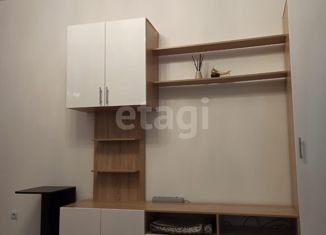 Продам квартиру студию, 24.5 м2, Санкт-Петербург, 5-й Предпортовый проезд, 2, 5-й Предпортовый проезд