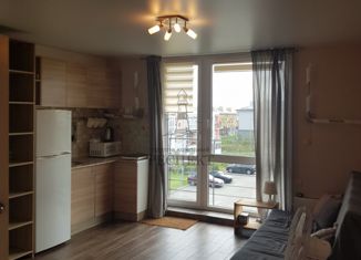 Квартира на продажу студия, 22.8 м2, посёлок Голубево, Изумрудная улица, 15