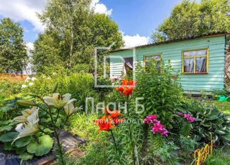 Земельный участок на продажу, 20 сот., деревня Холмы, деревня Холмы, 12