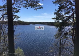 Продаю участок, 128 сот., деревня Боровики