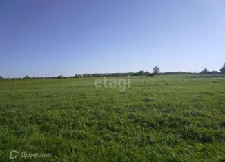 Продам земельный участок, 15 сот., деревня Жашково