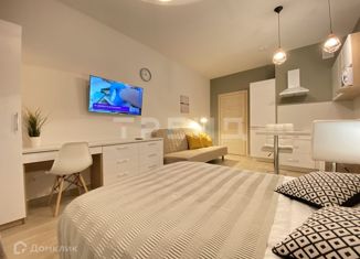 Продается квартира студия, 24.7 м2, Санкт-Петербург, 5-й Предпортовый проезд, 2, 5-й Предпортовый проезд