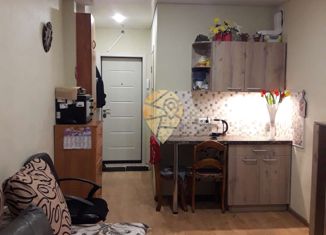 Продам квартиру студию, 18 м2, Воронеж, Ростовская улица, 100БкА, ЖК Интурист