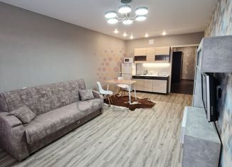 Сдаю квартиру студию, 40 м2, Новосибирская область, Дачная улица, 5