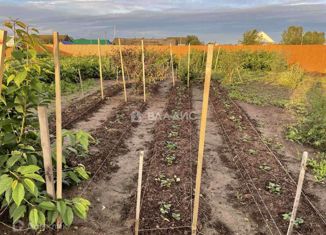 Продам участок, 12 сот., село Абалак, Первомайская улица