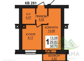 1-ком. квартира на продажу, 30.96 м2, деревня Дерябиха, деревня Дерябиха, 78