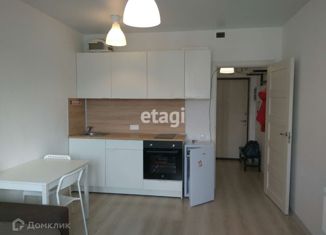 Продажа квартиры студии, 21.7 м2, Санкт-Петербург, Парашютная улица, 44к1, ЖК Граффити