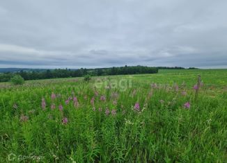 Продам участок, 5.5 сот., село Максимовщина, Степная улица