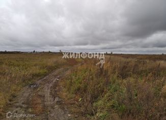 Продается участок, 3978 сот., рабочий посёлок Колывань