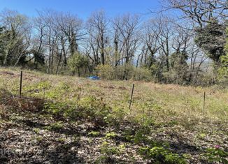 Продам участок, 8 сот., СНТ Парус, 3 квартал, 244