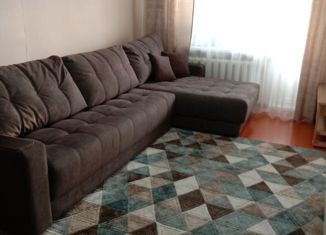 Продам двухкомнатную квартиру, 44.3 м2, Нижний Новгород, улица Красных Партизан, 20, метро Парк Культуры