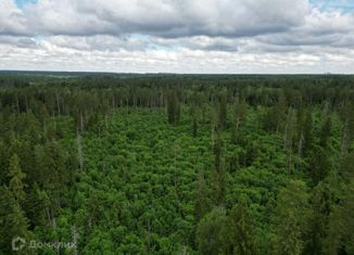 Продажа земельного участка, 50 сот., деревня Дегтяри