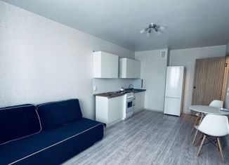 Продажа однокомнатной квартиры, 28 м2, Ростов-на-Дону, ЖК Платовский, улица Теряева, 8