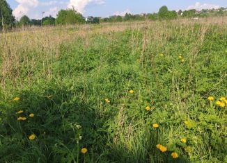 Продам земельный участок, 13.06 сот., деревня Раскопино