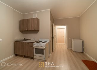 Продается квартира студия, 27.2 м2, Санкт-Петербург, Русановская улица, 19к3, ЖК Ласточкино Гнездо