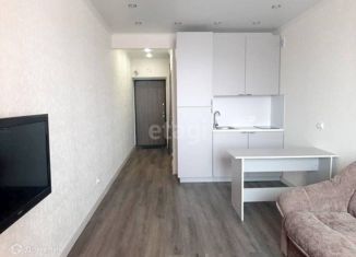 Сдам квартиру студию, 24 м2, Новосибирск, ЖК Онега, Красный проспект, 323