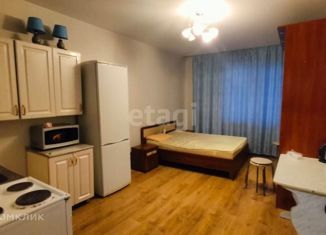 Квартира в аренду студия, 28 м2, Сургут, улица Александра Усольцева, 30