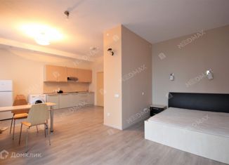 Сдача в аренду квартиры студии, 35 м2, Санкт-Петербург, Глухая Зеленина улица, 2, Глухая Зеленина улица