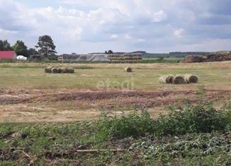 Земельный участок на продажу, 23.3 сот., деревня Рязановка, Центральная улица