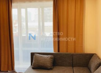 Сдается квартира студия, 27 м2, Санкт-Петербург, улица Фёдора Котанова, 5к2, ЖК Звёзды Столиц