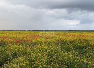 Земельный участок на продажу, 118.86 сот., Окунёвское сельское поселение