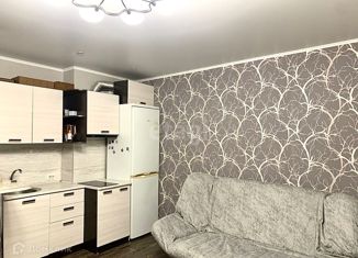 Продажа квартиры студии, 29.3 м2, рабочий поселок Южный, Кубанский проезд, 2В/2