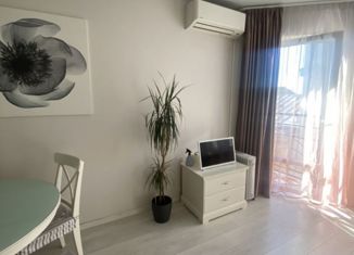 Аренда квартиры студии, 31 м2, Санкт-Петербург, улица Лабутина, 16к2, метро Балтийская