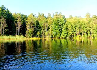 Продажа дома, 50 м2, ЛСНТ Энергетик, ЛСНТ Энергетик, 167