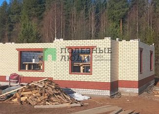 Продам дом, 160 м2, деревня Большие Раскопины, Благовестная улица